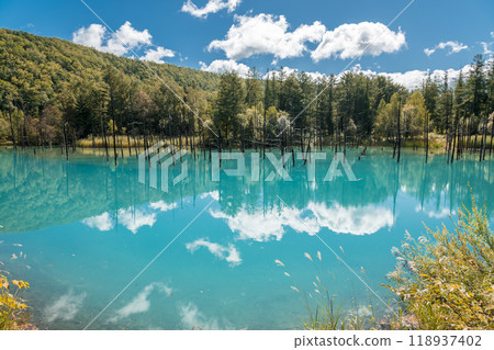[Biei Town Shirogane: Blue Pond and Water Mirror under the Blue Sky] 118937402