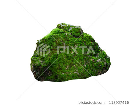 stone covered with moss isolated on white background 118937416