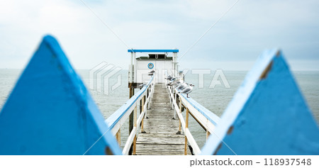 Traditional fisherman hut in french coast 118937548