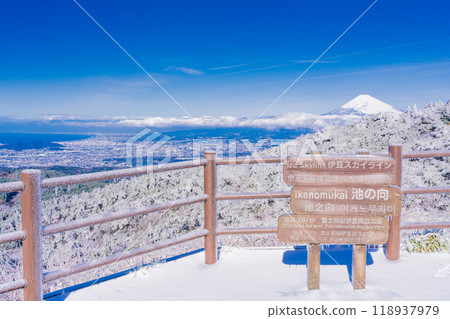 [Shizuoka Prefecture] Snow-covered Izu Skyline - Mount Fuji as seen from Ikenomukai Parking Lot 118937979