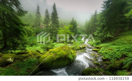 River in the forest and sunlight filtering through the trees River in the forest and sunlight filtering through the trees 118938159