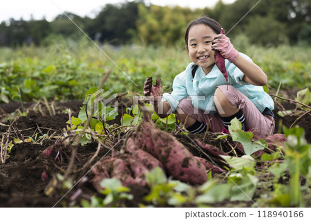 A girl digging sweet potatoes 118940166