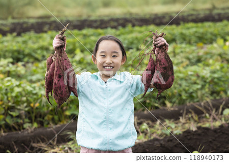 挖地瓜的女孩 118940173