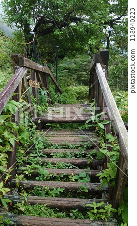 Bridge stairs on the hiking trail 118940223