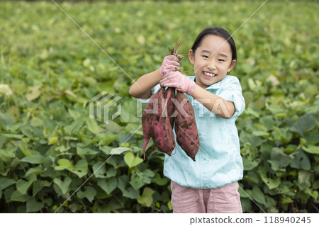 挖地瓜的女孩 118940245