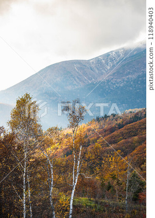 霜降的傍晚乘鞍高原 118940403