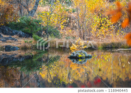秋天的Norikura Kogen Maime no Ike 118940445