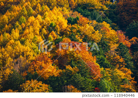 Autumnal colors at Norikura Plateau 118940446