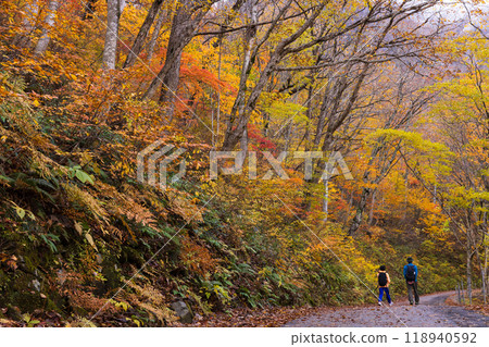 Beautiful autumn scenery in Japan 118940592