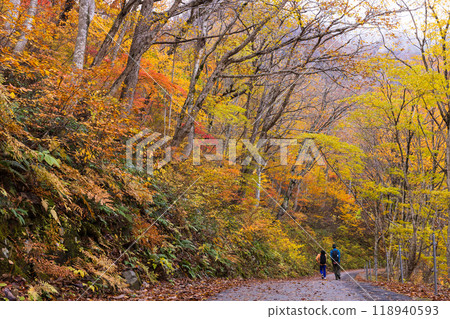 Beautiful autumn scenery in Japan 118940593