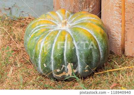 Pumpkin with rural decor on haystack. Fall decorations on thanksgiving. Halloween. 118940940