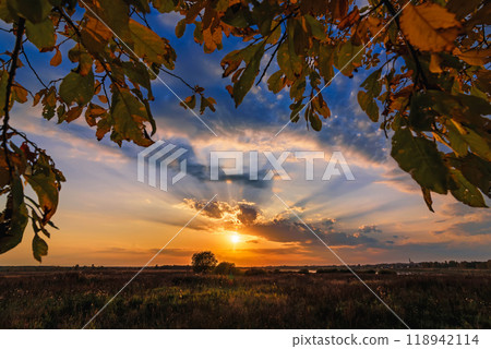 autumn landscape through the branches of a tree on the field with a sunset 118942114