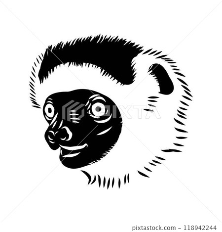 Verreaux's sifaka - vector illustration sketch hand drawn with black lines Verreaux's sifaka - vector illustration sketch hand drawn with black lines 118942244