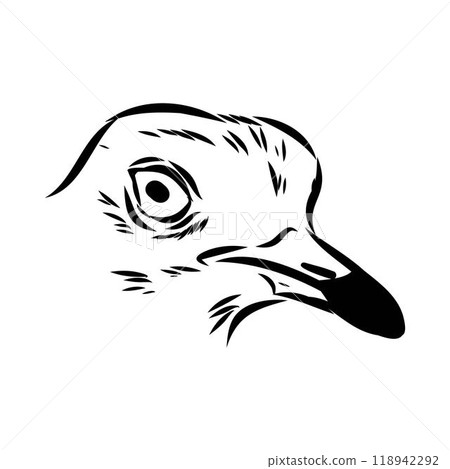 Vector card with hand drawn cute plover. Beautiful animal design elements, ink drawing Vector card with hand drawn cute plover. Beautiful animal design elements, ink drawing 118942292