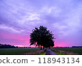 A Beautiful and Serene Sunset Over an Open Field Surrounded by Lush Green Trees Nearby 118943134