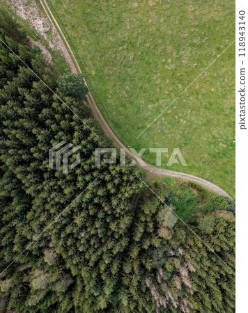 A Stunning Aerial View of a Lush Forest Surrounded by a Scenic Green Meadow Pathway 118943140