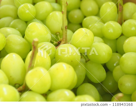 4 fully ripe Shine Muscat grapes before shipping 118943168
