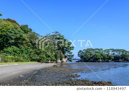 Walking along the coast of Matsushima, one of Japan's Three Most Scenic Spots 118943497