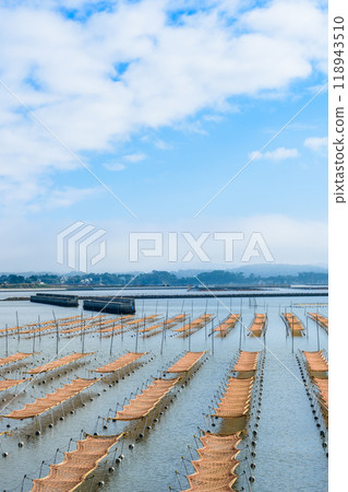 Walking along the coast of Matsushima, one of Japan's Three Most Scenic Spots 118943510