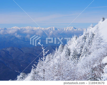 淺間山脈烏帽山的霜凍樹木和北阿爾卑斯山的遠景 118943670