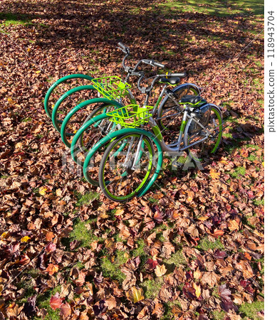 Green bycicles in recreational park on autumn season. 118943704