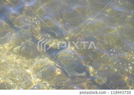 水下魚 水下魚 118943730