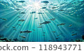 Undersea world 118943771