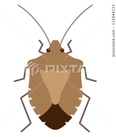 Illustration of a brown stink bug (brown marmorated stink bug) 118944233