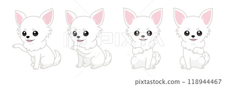 微笑的吉娃娃手姿勢集 118944467