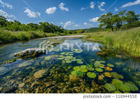 With a focus on clean water and reintroduced wildlife, the river restoration project aims to rehabilitate the ecosystem, supporting diverse species and improving overall river health With a focus on clean water and reintroduced wildlife, the river restoration project aims to rehabilitate the ecosystem, supporting diverse species and improving overall river health 118944558