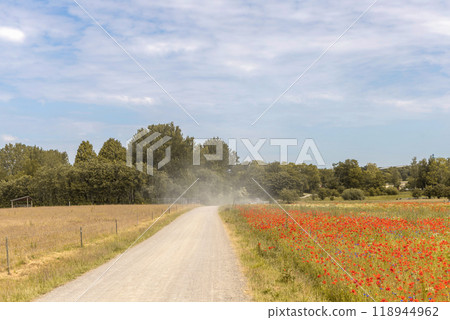 Dry road in the middle of the field. Dry road in the middle of the field. 118944962