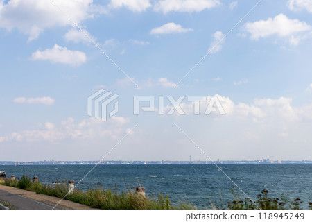 View from Denmark to the sea and Sweden in the distance 118945249