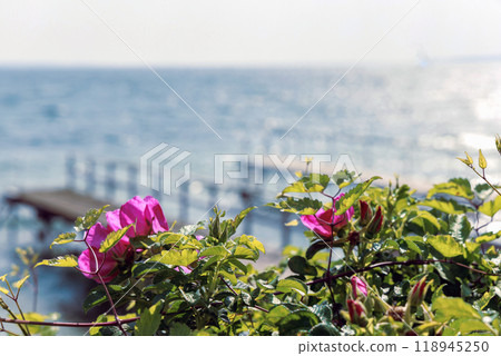 Beautiful seascape with sailing boat in the distance and pier 118945250