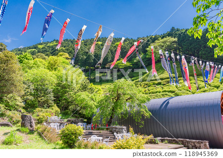 [Shizuoka Prefecture] Carp streamers fly at Himenosawa Park in Atami 118945369