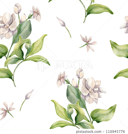 Jasmine bush, buds, leaves watercolor seamless pattern isolated. White flower botanical style hand drawn on repeating texture. Floral background in pale tones for design textile, package, wrapping 118945776