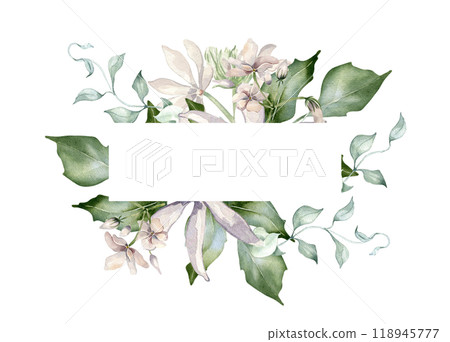 Jasmine blooms in watercolor floral border isolated. Soft pink flower frame botanical style hand drawn. Flowers of jasmine, curvy vine and leaves painted for design label, package, invitation. 118945777