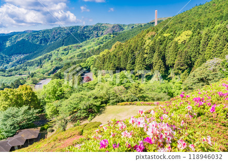 [Shizuoka Prefecture] Atami Himenosawa Park where azaleas are in full bloom 118946032