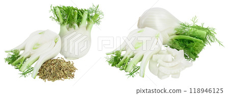 fresh fennel bulb with seed isolated on white background with full depth of field 118946125