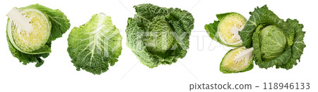 Savoy cabbage isolated on white background with. Top view with copy space for your text. Flat lay Savoy cabbage isolated on white background with. Top view with copy space for your text. Flat lay 118946133