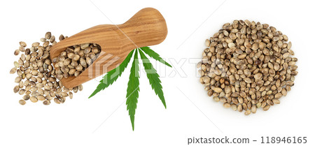 Hemp seeds in wooden scoop isolated on white background with full depth of field. Top view. Flat lay. Hemp seeds in wooden scoop isolated on white background with full depth of field. Top view. Flat lay. 118946165