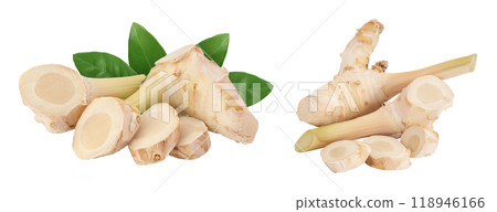 Fresh galangal root with slices isolated on white background with full depth of field. 118946166