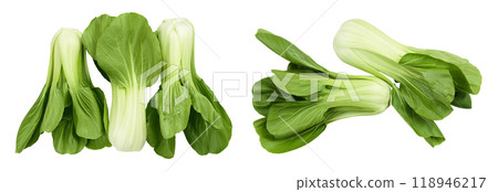 Fresh pak choi cabbage isolated on white background. Top view. Flat lay 118946217