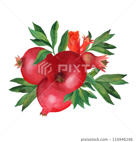 Composition of three whole pomegranates with flower and small fruit and leaves. Watercolor illustration isolated on white background. For menu, design 118946286