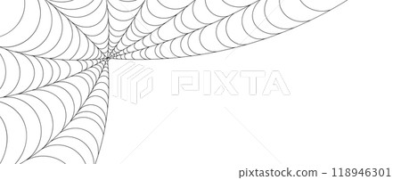 spider web isolated. cobweb with copy space. Vector illustration 118946301