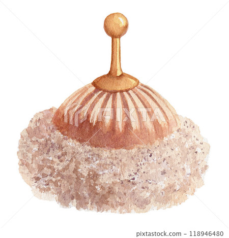 Vintage beige powder puff. Watercolor hand drawn illustration isolated on white background. For design, posters, cards, postcards, stickers, flyers 118946480