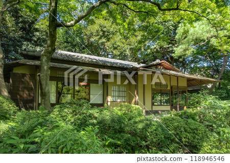 位於東京都港區白金台的東京都庭園美術館的花園 118946546