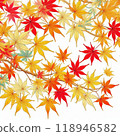 五顏六色的秋葉 118946582