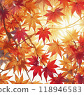 秋天的樹葉 118946583