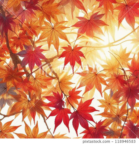 秋天的樹葉 秋天的樹葉 118946583