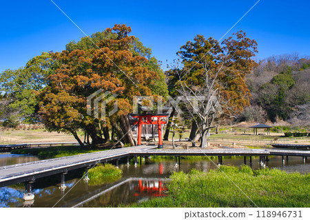 [Kanagawa Prefecture] Itsukushima Wetlands Park 118946731